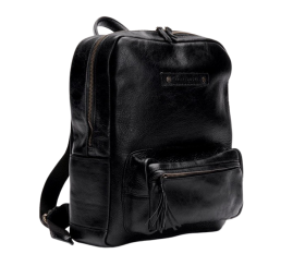 Compass Camera Backpack 